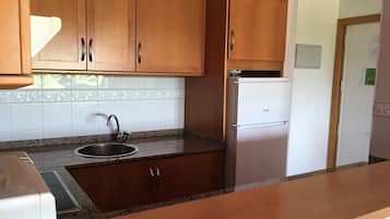 Apartamento, 1 habitación, terraza | Cocina privada | Frigorífico grande, microondas, horno y placa de cocina