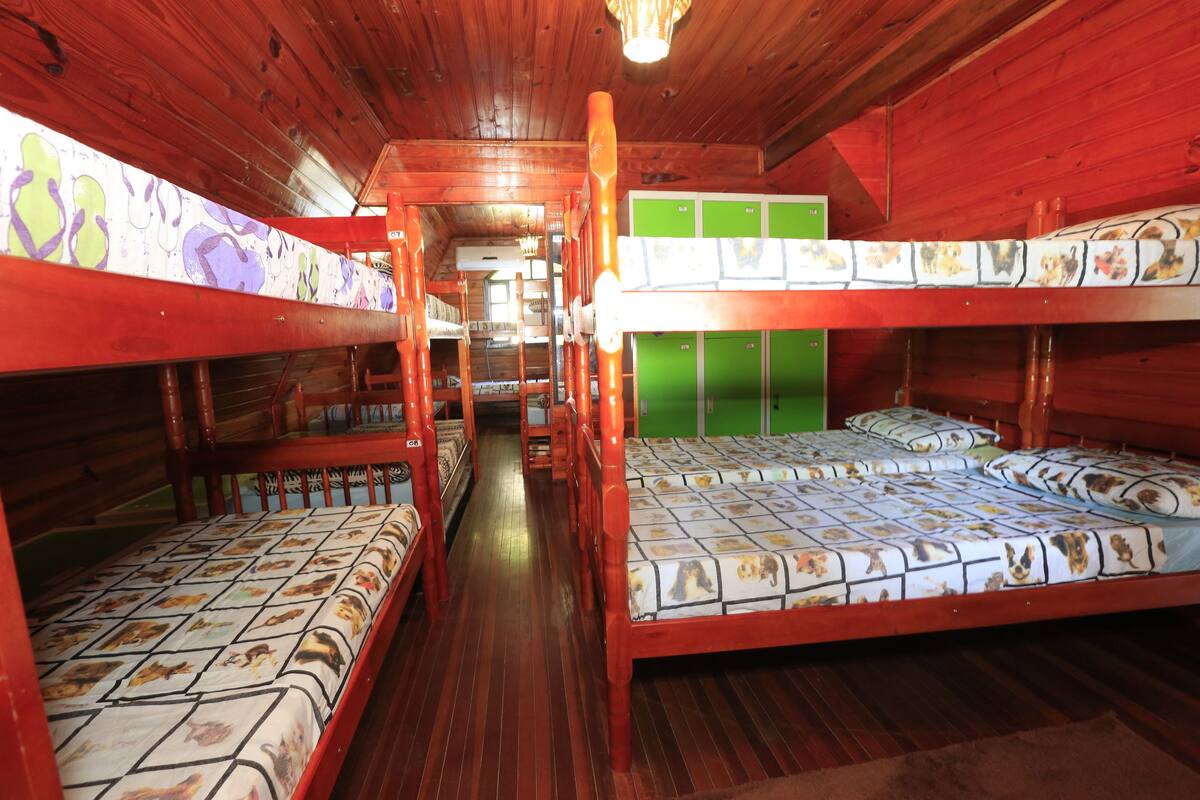 Classic Shared Dormitory, Mixed Dorm, Non Smoking
