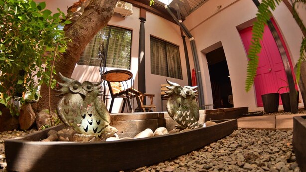 A courtyard with two owl sculptures, a tree, and a building with a pink door. - Hotel el Sole - Hostel (Santa Ana)