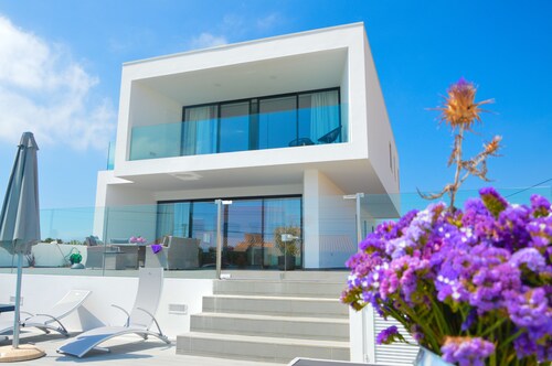 Biscuttela Vicentina