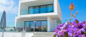 Biscuttela Vicentina