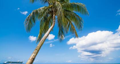 Cocoplum #3 by Cayman Vacation