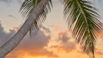 Pemandangan dari properti