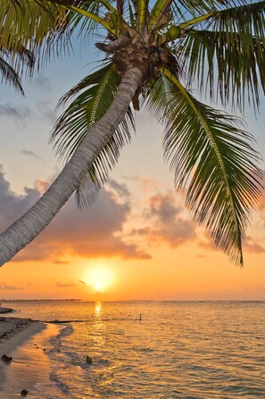 วิวจากที่พัก