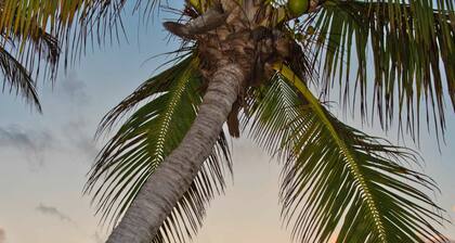 Island House #16 by Cayman Vacation