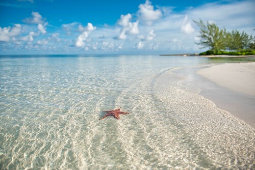 Island House #16 by Cayman Vacation