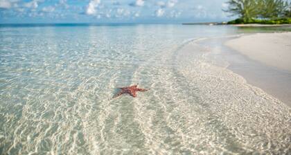 Island House #16 by Cayman Vacation