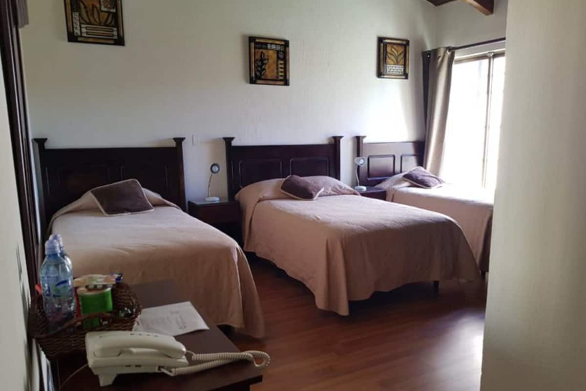 Habitación triple clásica, 3 camas individuales, para no fumadores | Edredón, camas con pillow-top y caja de seguridad en la habitación