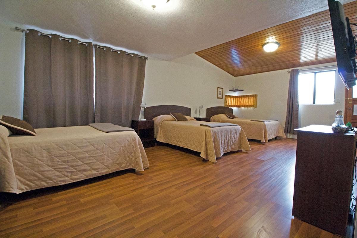 Family Quadruple Room, Multiple Beds