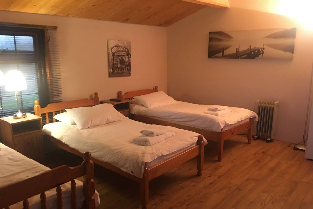 Una habitación con dos camas de madera, una ventana con persianas, un radiador y un cuadro colgado en la pared.