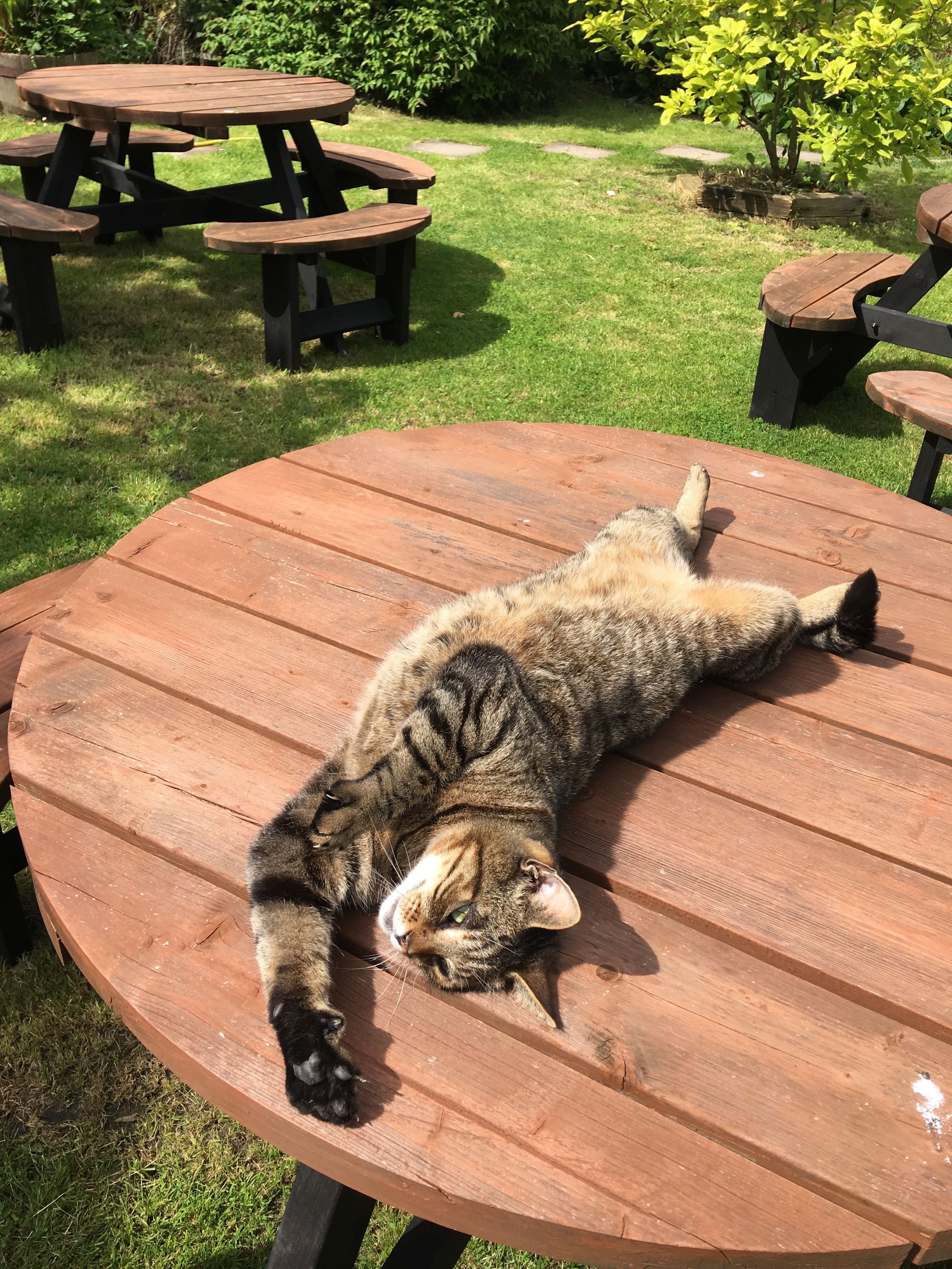 Foto - Bridge Farm Guesthouse rooms