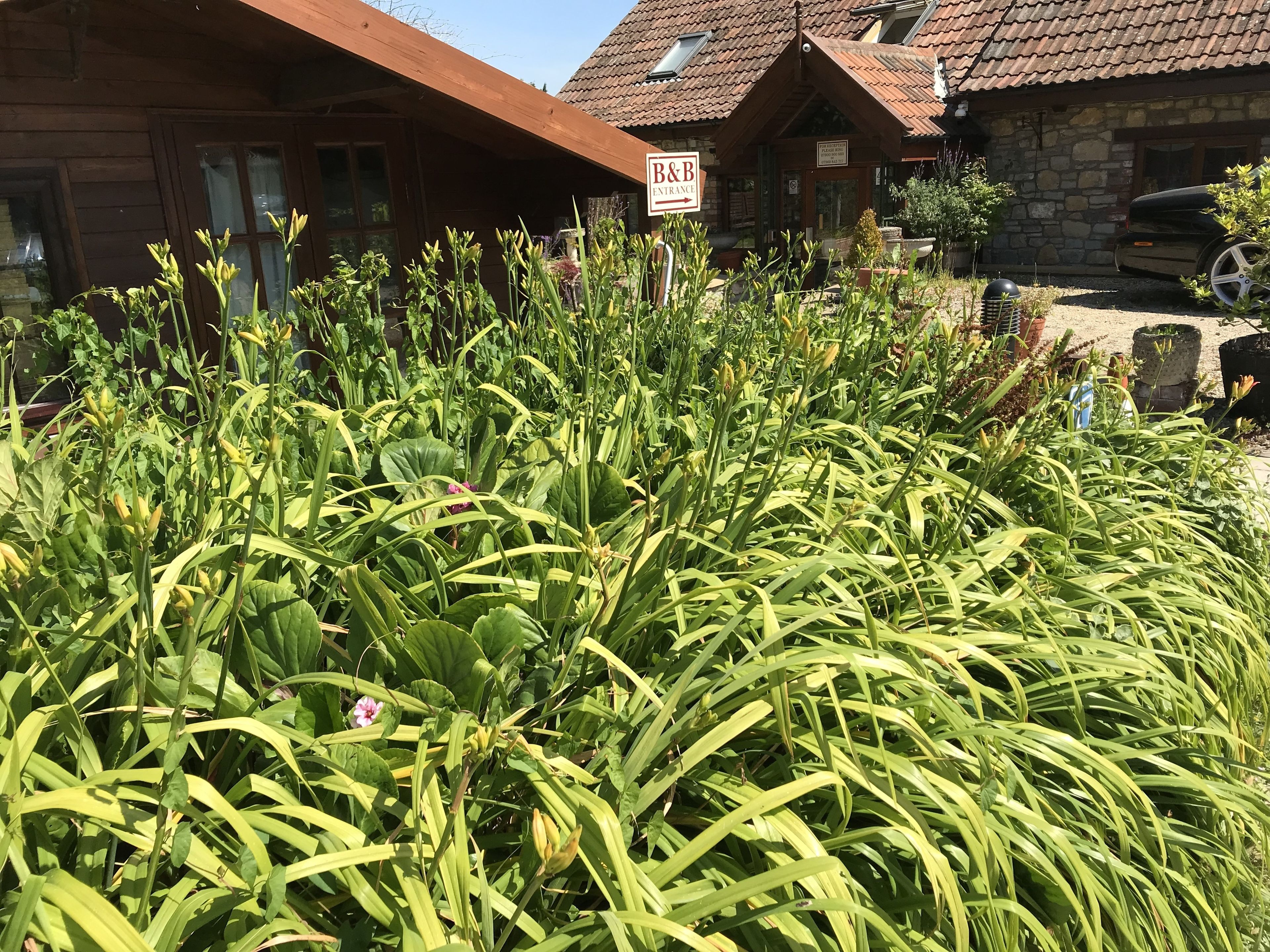 Foto - Bridge Farm Guesthouse rooms