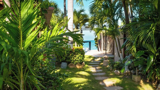 A pathway leading to a beach with palm trees and a clear view of the ocean.