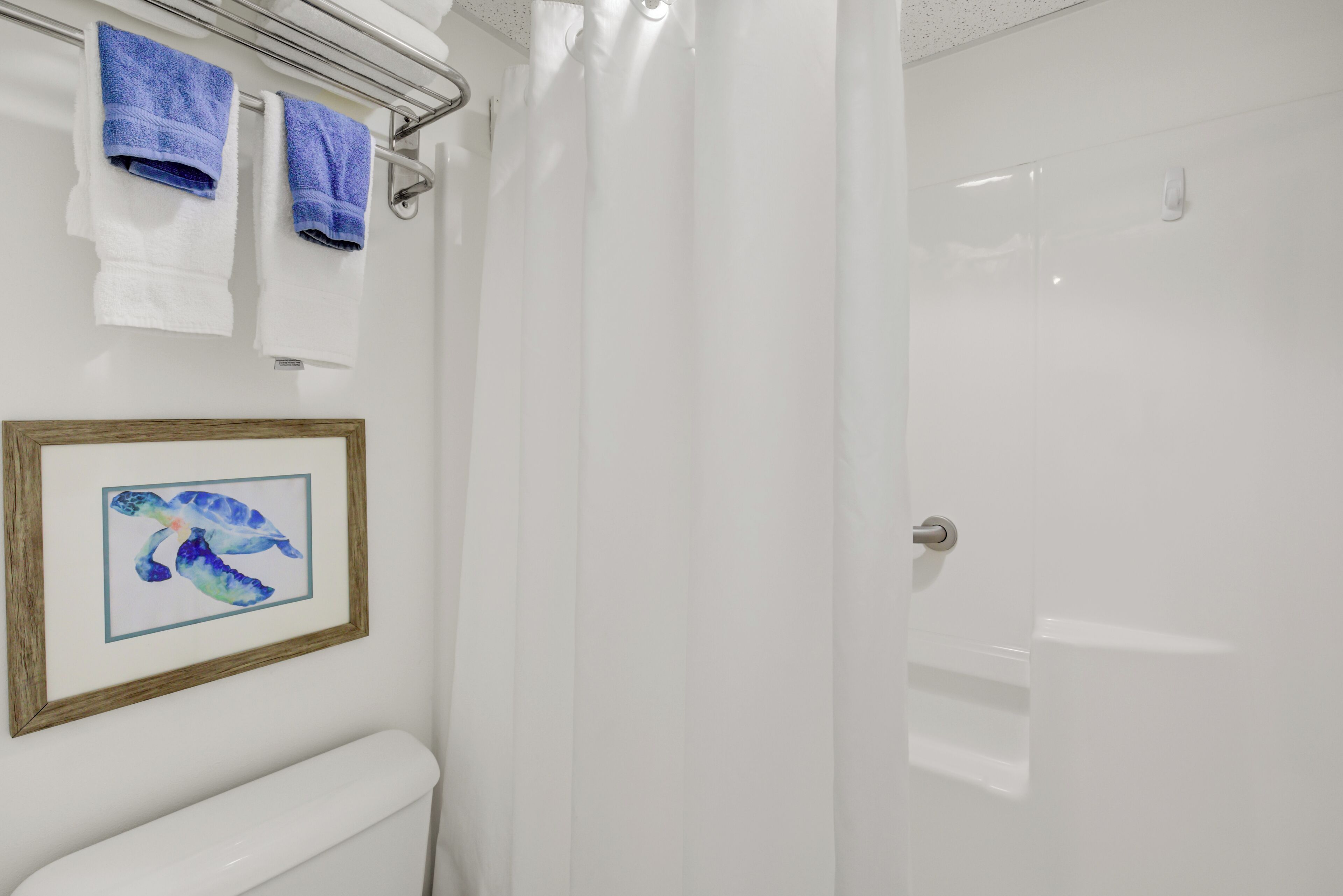 A bathroom with a white toilet, a framed picture of a sea turtle, and two towels hanging on a rack.