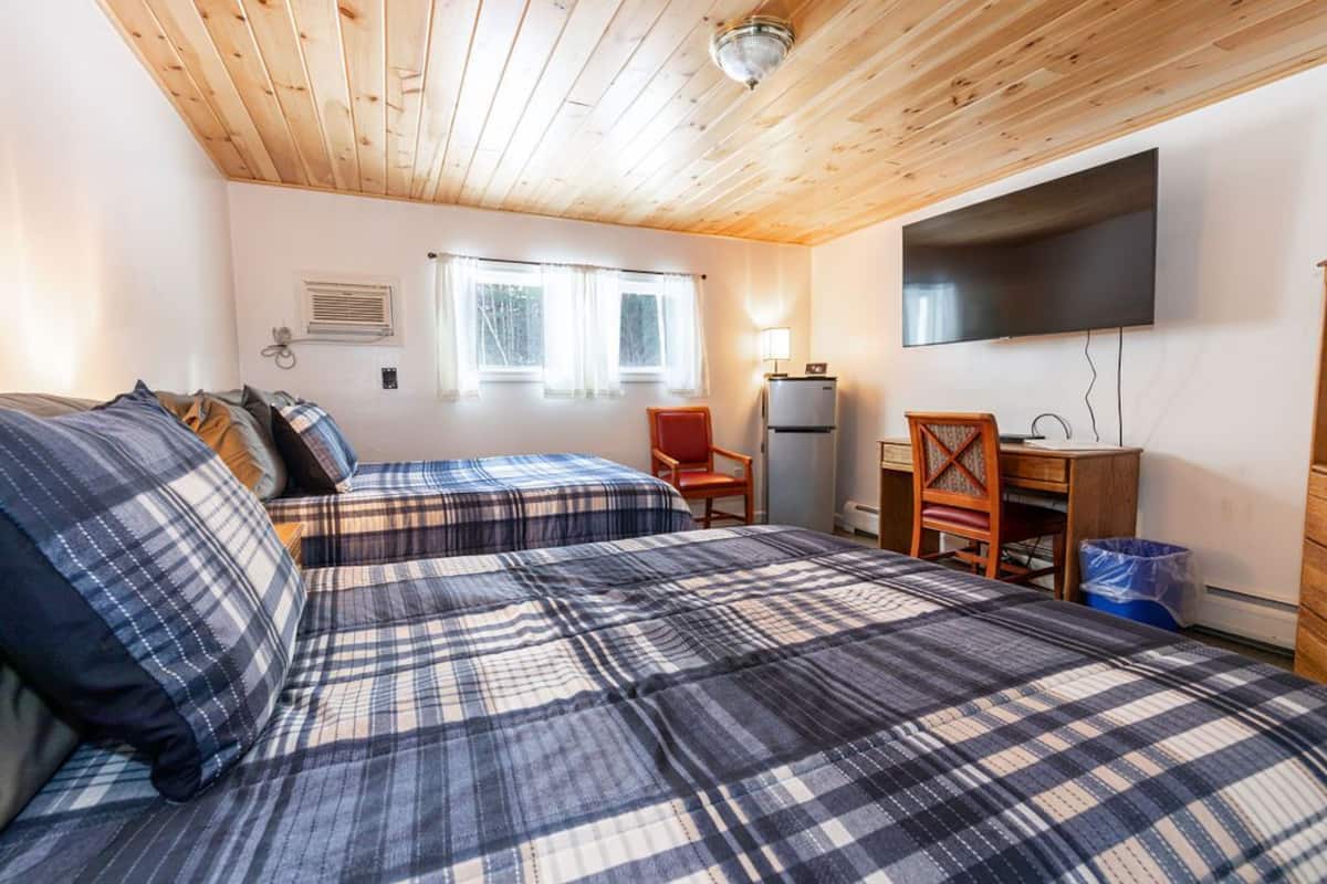 A room with two beds, a TV, a desk, and a chair.