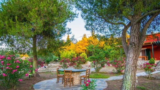 A stone patio with a table and chairs surrounded by trees and flowering plants. - Villa Elatia (Zakynthos)