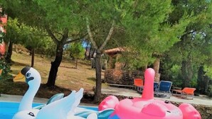 A swimming pool with inflatable swan and flamingo floats. - Villa Elatia (Zakynthos)