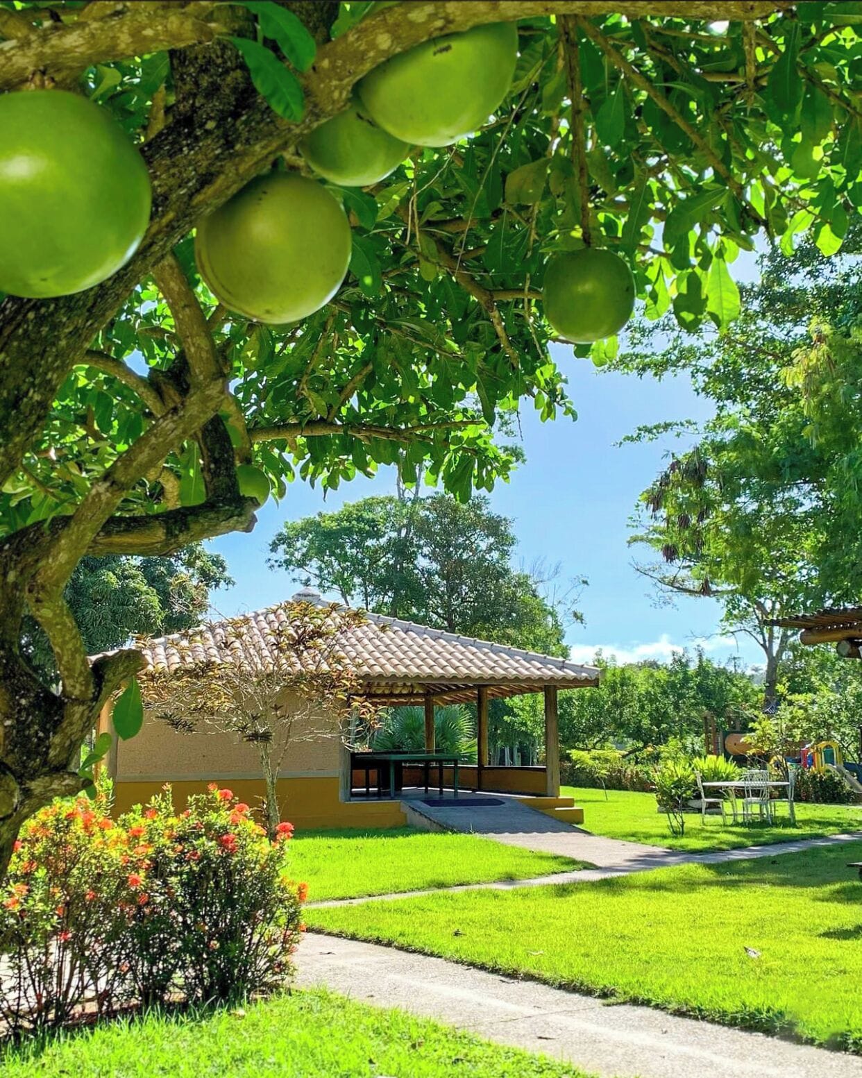 Photo - Bosque do Porto Praia Hotel