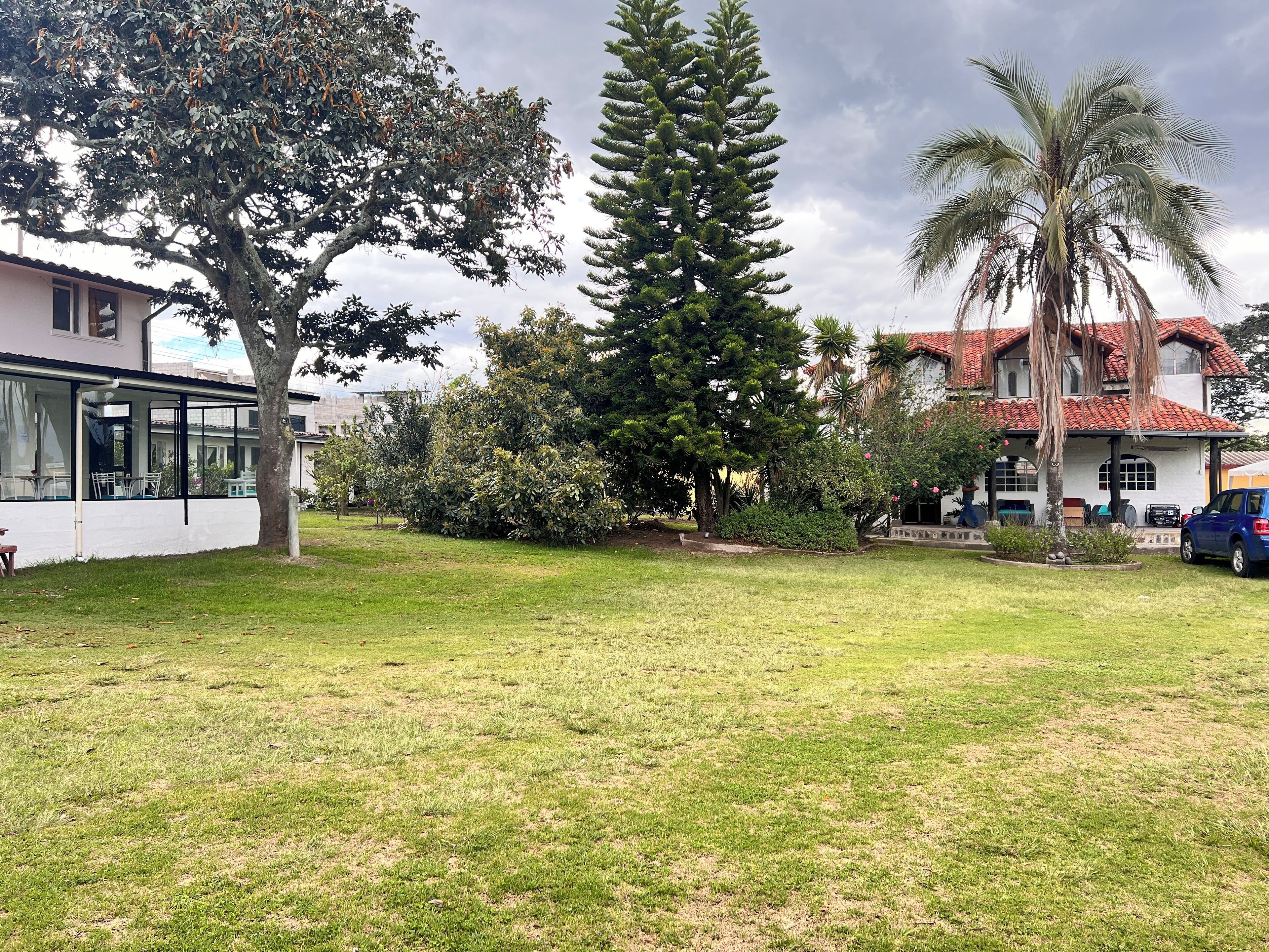 A grassy area with a large tree, a smaller tree, and a house with a red roof.
