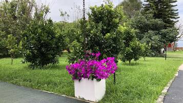 Un jardín con una caja de plantación blanca que contiene flores moradas, rodeado de abundante césped verde y varios árboles.
