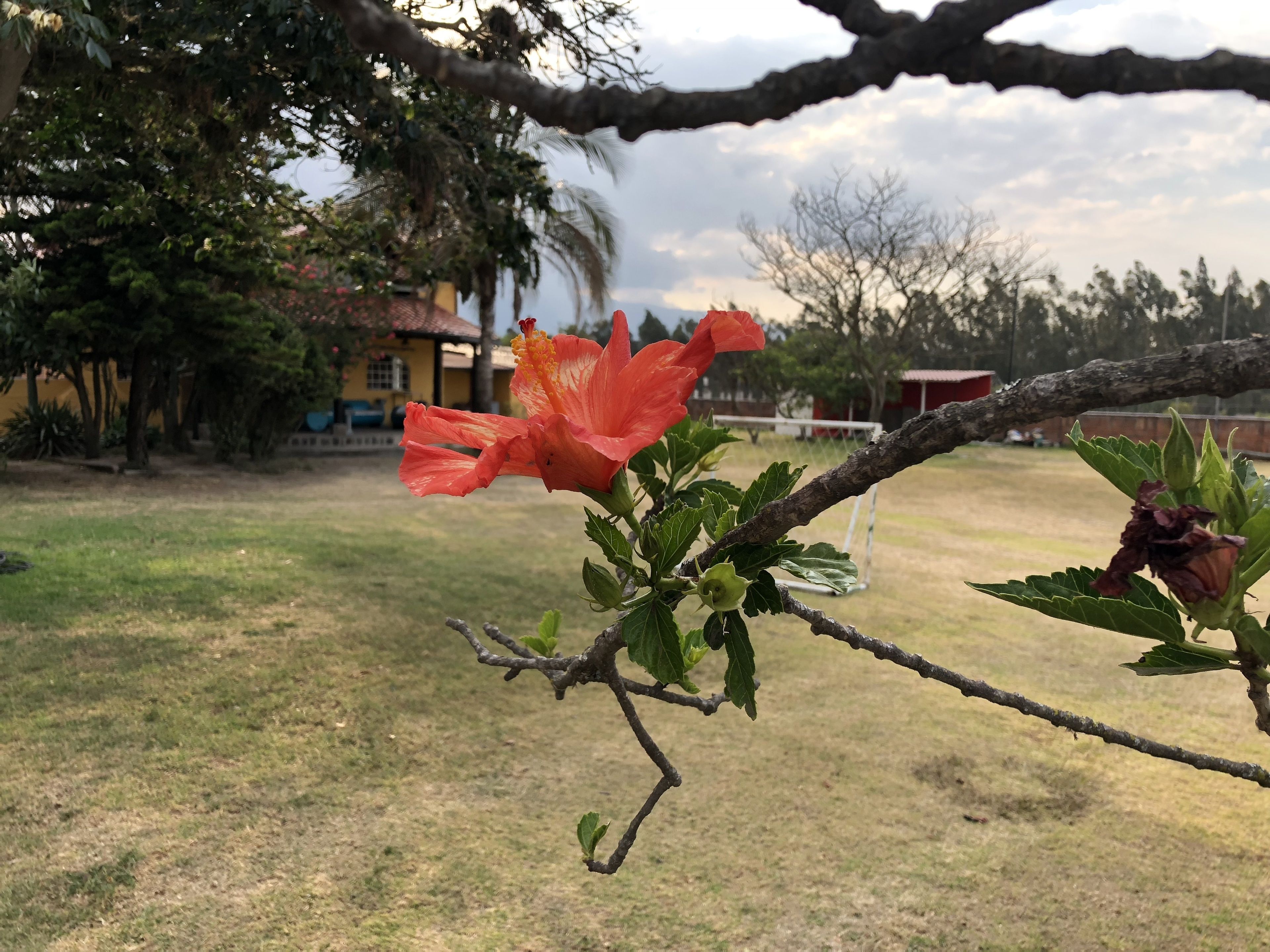 Springhills Quito Airport