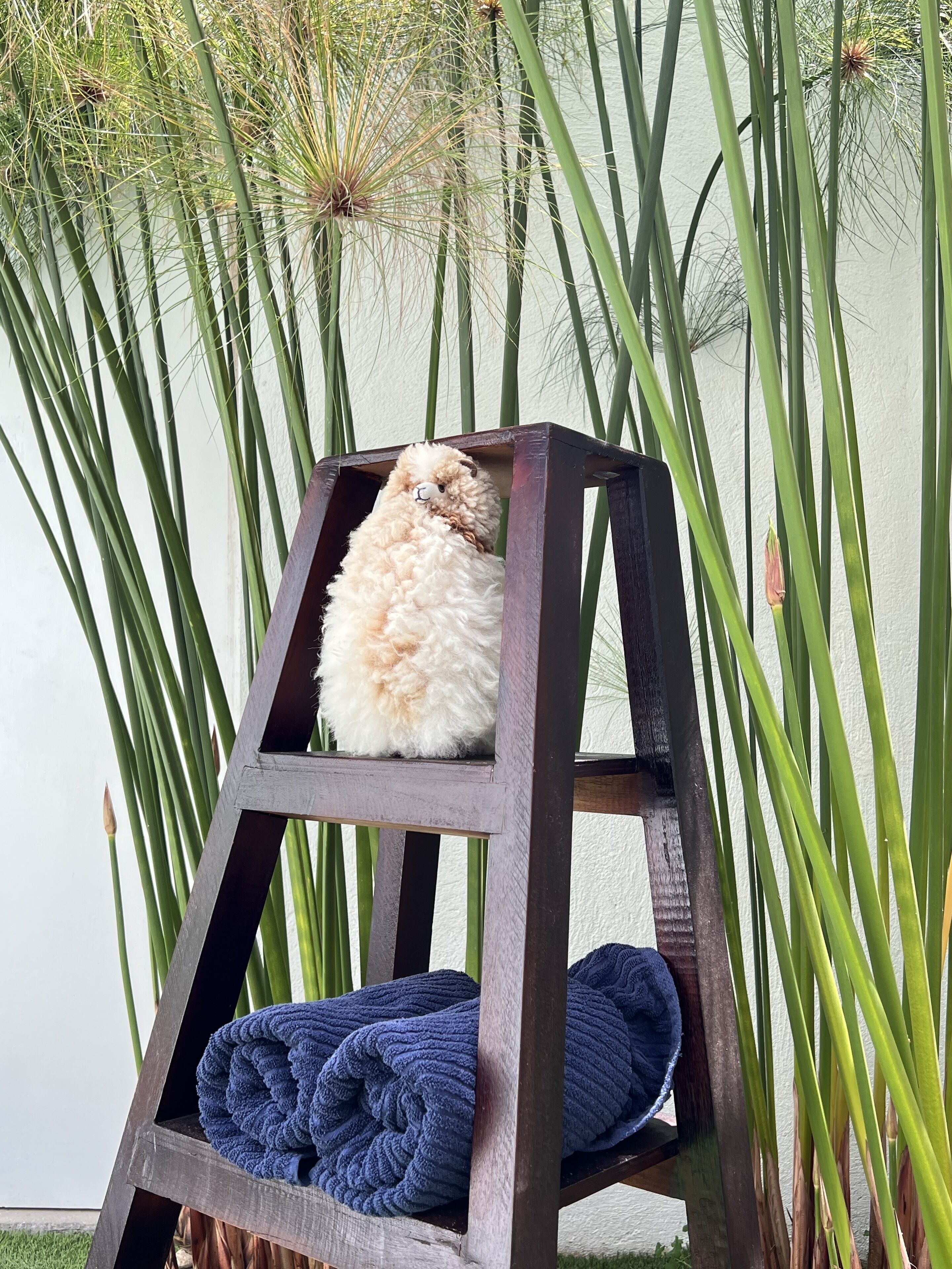 individually decorated, blackout curtains, soundproofing