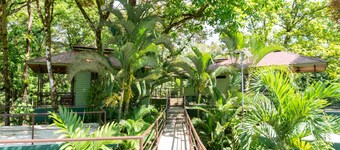 Arbol Verde Villas