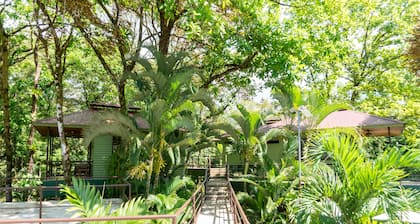 Arbol Verde Villas