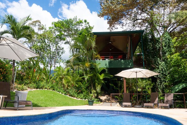 Outdoor pool, pool loungers
