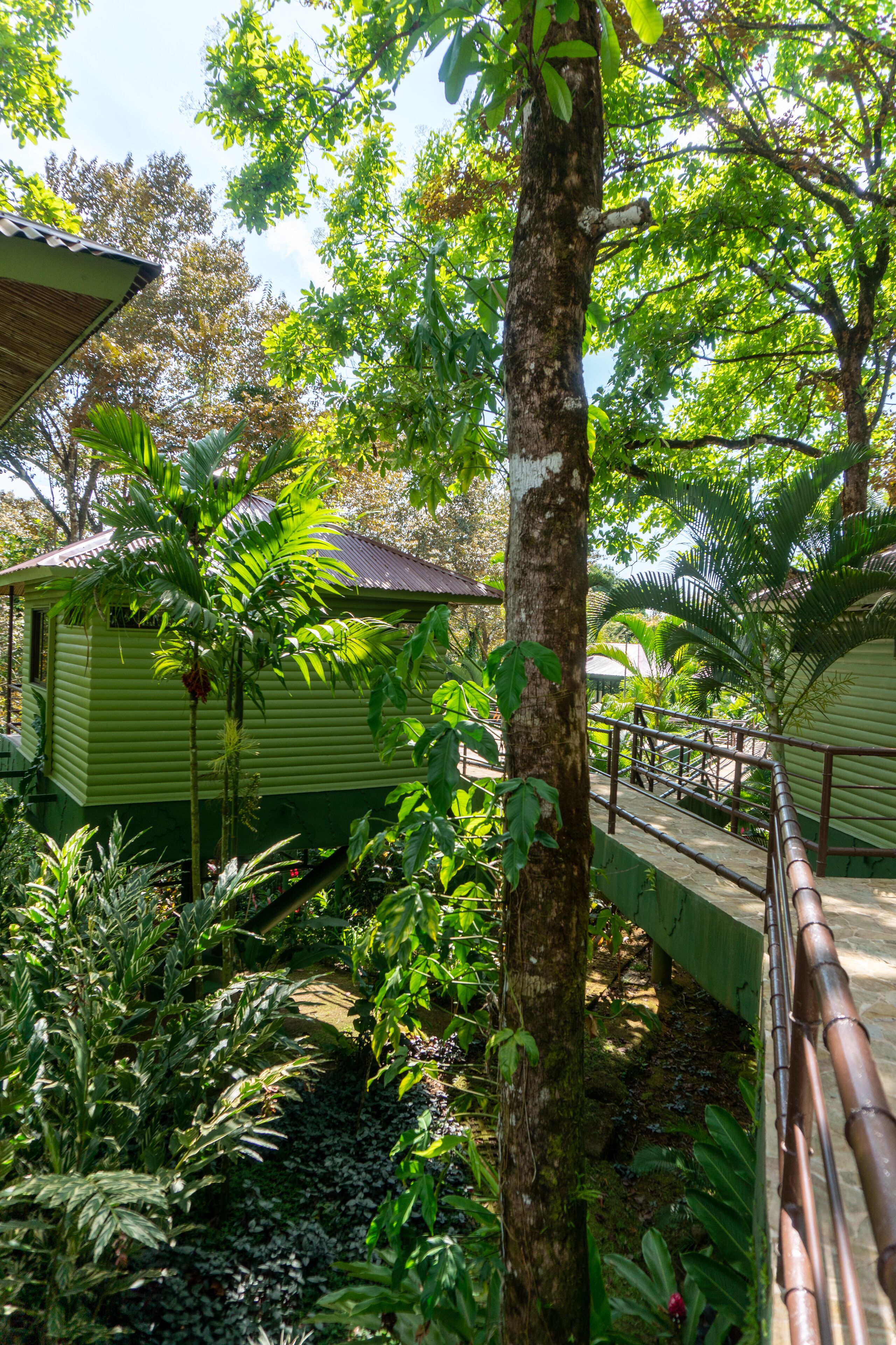 A green building with a metal staircase and a bridge.