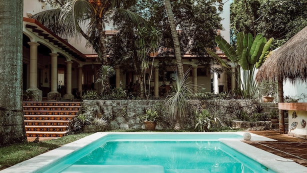 Una piscina con pared de piedra y plantas tropicales.