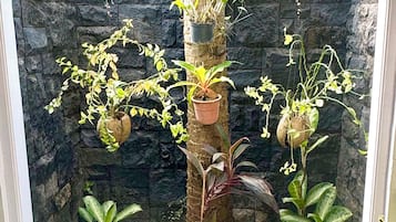 Lila Bungalow 1 - The Apartment | Bathroom | Free toiletries, hair dryer, towels, soap