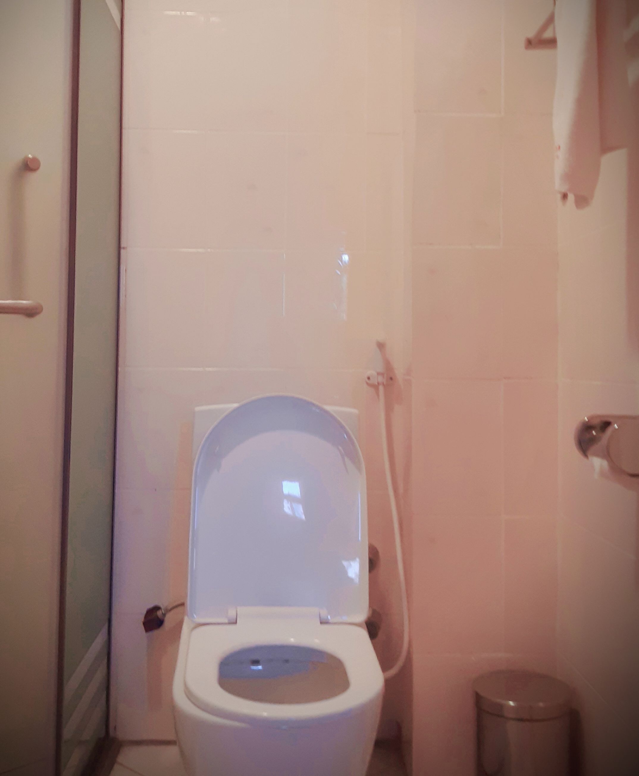 deluxe double room, 1 queen bed, non smoking | bathroom | shower, hair dryer, bathrobes, bidet