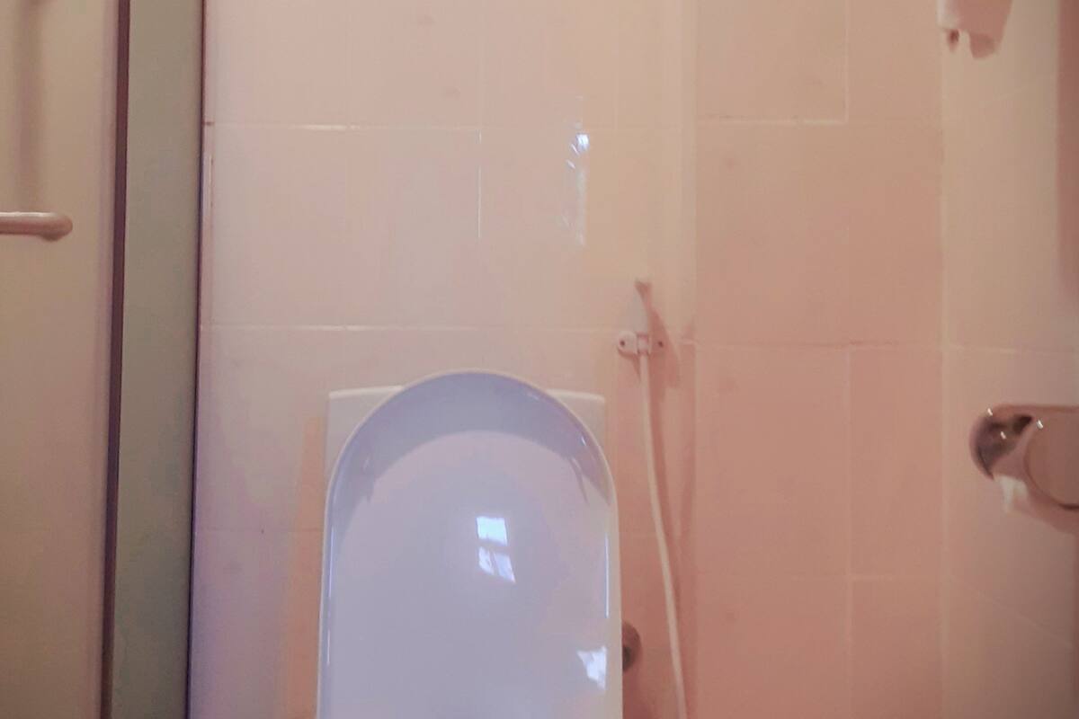 deluxe double room, 1 queen bed, non smoking | bathroom | shower, hair dryer, bathrobes, bidet