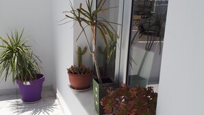 A balcony with potted plants and a view of the cityscape through a glass door. - Eva Christ Apt (Oroklini)