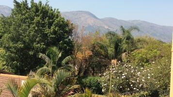 A lush garden with a variety of trees and plants, a pool, and mountains in the background.