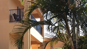 Un edificio de varios pisos con balcones, una escalera y un jardín con diversas plantas y flores.