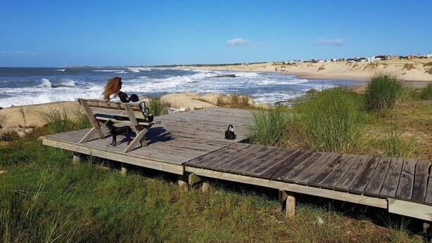 Une terrasse en bois donnant sur une plage où l’on aperçoit des vagues, une personne assise et un chien.