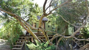 Une cabane perchée dans un arbre, dotée d’une terrasse en bois et d’un escalier menant à celle-ci, le tout entouré d’un feuillage dense.
