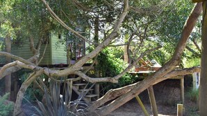 Une terrasse en bois rustique avec un escalier menant à une serre.