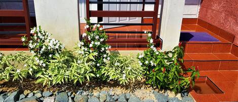 Deluxe Double Room (Ground Floor) | Balcón