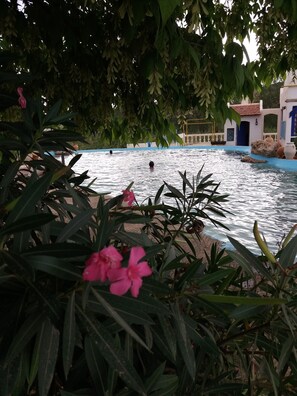 Outdoor pool, pool umbrellas, pool loungers - Gite Dayet Aoua (Dayat Aoua)