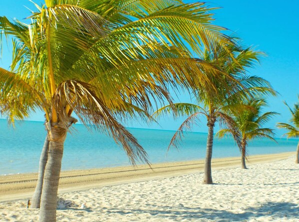 View from property - Seahorse Villa (Providenciales)