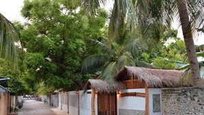 Property grounds - Eden BAANI Lodge (Felidhoo)