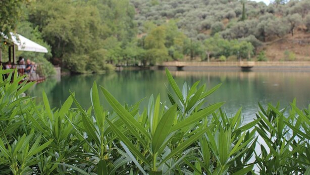 A serene lakeside view with lush greenery and a distant bridge. - Roes apartments (Faistos)