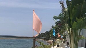 A balcony with a view of the sea, a pool with a blue and white pattern, and a palm tree. - Marick Beach Resort (Carmen)