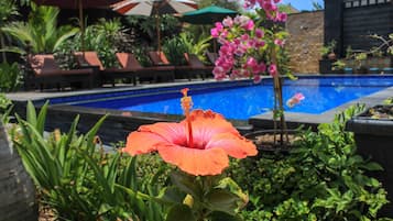 Outdoor pool, sun loungers