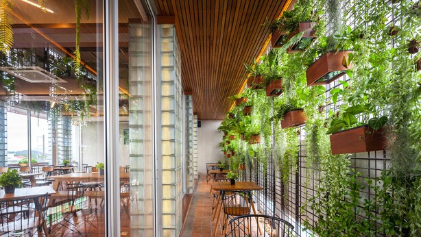 Un espacio interior moderno con suelo de madera, separaciones de vidrio y diversas plantas verdes en macetas colgantes y jardineras de pared.