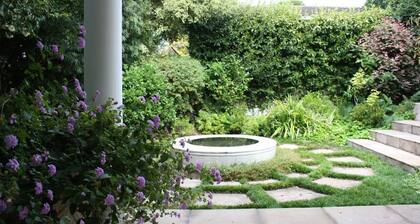 Camelot in Constantia