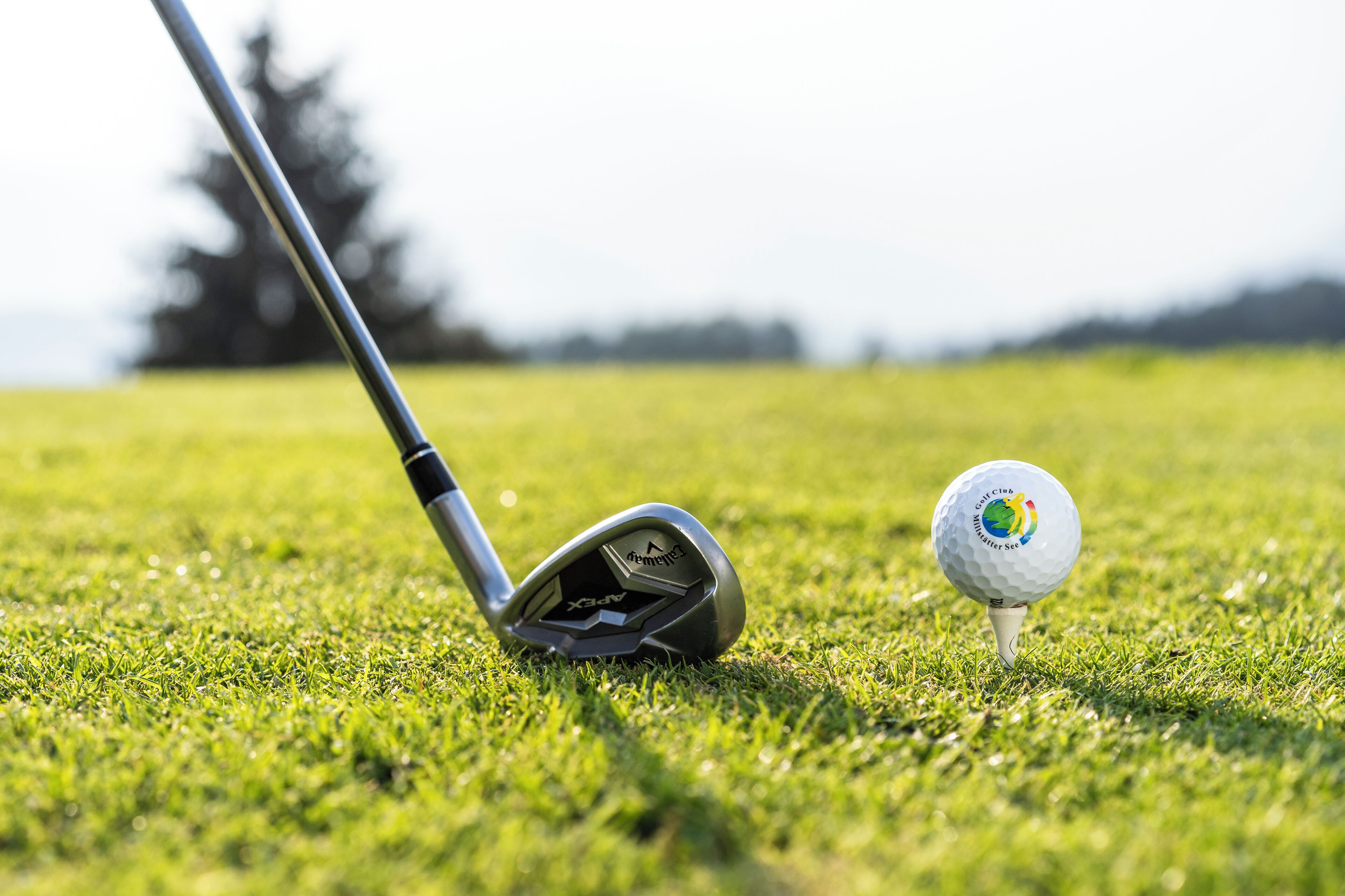 A golf club and ball on a grassy field.